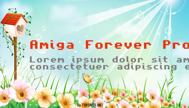 Amiga Forever Pro example